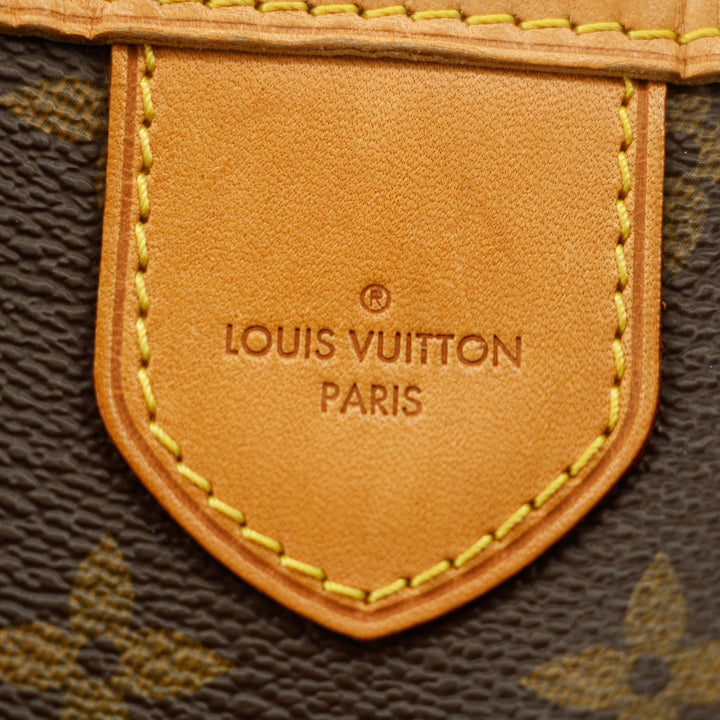 Louis Vuitton Monogram Delightful PM  #2593